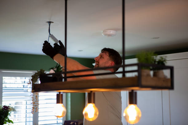 Best Electrical System Inspection  in Rockford, MI